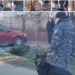 Mister în jurul crimei din Tarcea. Cine era femeia găsită moarta în propria locuință alături de fiul ei