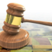 Legea arendei, care impune arendarea terenurilor agricole pe minimum 7 ani, contestată la CCR