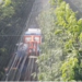 Câinii roboți și utilaje autonome, în fermele din România