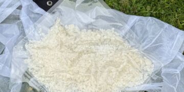 Percheziții și rețineri într-o rețea de trafic de droguri în Bihor: patru inculpați, arestați preventiv