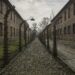 Codul Penal adaptat la realitățile urii digitale: pedepse cu închisoarea pentru propagandă fascistă, glorificarea legionarismului și negarea Holocaustului