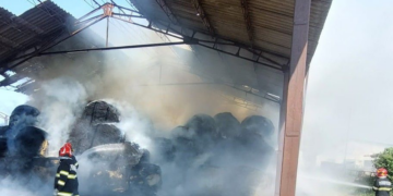 Incendii în serie în Bihor: Pompierii au stins 28 de focare în trei zile