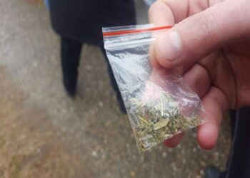 Să fii dealer e la modă! Tribunalul Bihor condamnă aspru vânzarea de „iarbă”