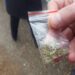 Să fii dealer e la modă! Tribunalul Bihor condamnă aspru vânzarea de „iarbă”