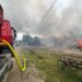 Panică în Șinteu: Hală cu material lemnos, cuprinsă de flăcări uriașe