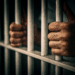 Patru condamnați, printre care un urmărit național, depistați și încarcerați de polițiștii bihoreni pentru viol, tâlhărie, furt calificat și infracțiuni rutiere