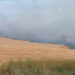 Pericol pe DN1: Incendiu de vegetație între Oșorhei și Aleșd