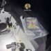 Traficant de droguri prins cu peste un kilogram de cocaină la Nădlac – reținut de procurorii DIICOT Oradea