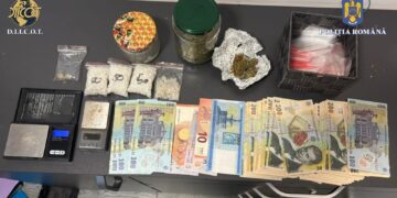 Flagrant la Oradea: 2.000 de lei pentru canabis și doi suspecți reținuți
