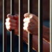 Doi bihoreni, condamnați pentru trafic de droguri și infracțiuni rutiere, încarcerați la Penitenciarul Oradea