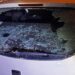 Scandal în stradă: Bătaie, spray lacrimogen și o lunetă făcută țăndări în toiul nopții