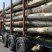 Lemn legal, acte ilegale! Bihorean prins cu un aviz falsificat pentru transport de lemne