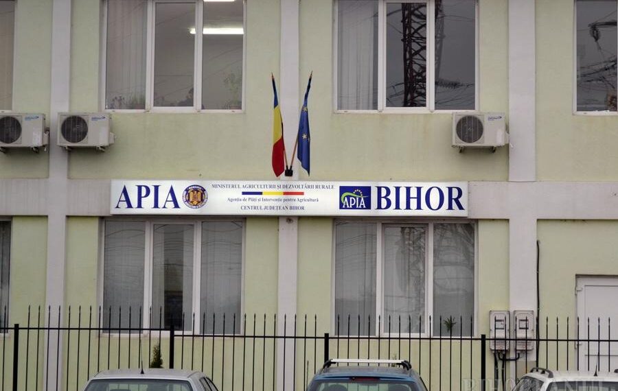 Fostul președinte al Asociației Urbariale Pietroasa, exonerat într-un dosar cu fonduri europene! Prescripția lovește din nou!