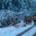 ISU Bihor, în alertă: copaci căzuți și drumuri blocate în zona montană