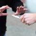 Femeie de 44 de ani, în stare gravă, după ce a fost înjunghiată de fiul său, în Oradea
