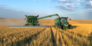 Patronul Semcereal Sălard, trimis în judecată pentru fraudă de peste 5,4 milioane de lei