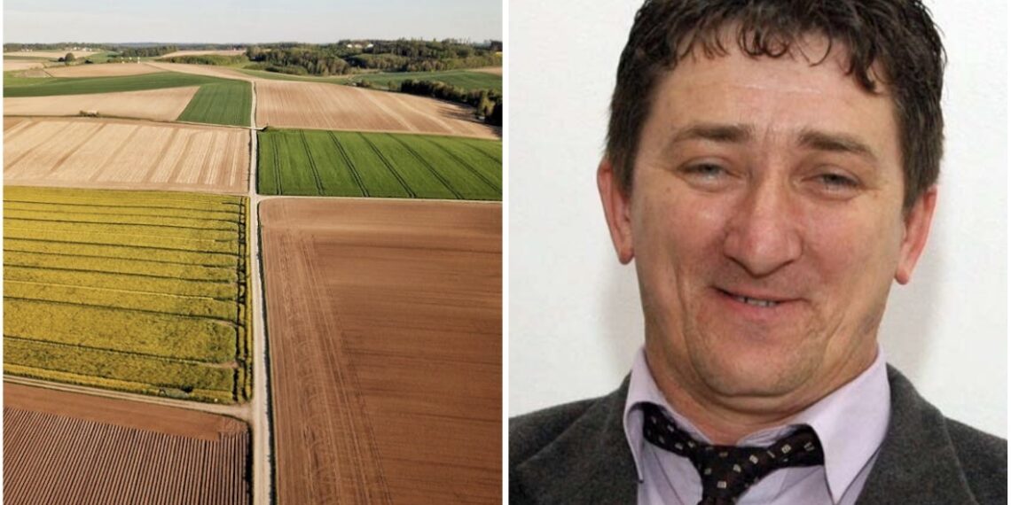 Scandal la Societatea Agricolă Frimont Palota din Bihor: președintele Dorner Peter, inculpat pentru distrugere de probe într-o anchetă privind sifonarea producției către firma fiului. Un nou dosar penal se apropie de prescripție