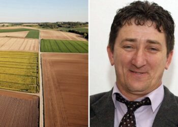 Scandal la Societatea Agricolă Frimont Palota din Bihor: președintele Dorner Peter, inculpat pentru distrugere de probe într-o anchetă privind sifonarea producției către firma fiului. Un nou dosar penal se apropie de prescripție