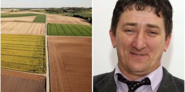 Scandal la Societatea Agricolă Frimont Palota din Bihor: președintele Dorner Peter, inculpat pentru distrugere de probe într-o anchetă privind sifonarea producției către firma fiului. Un nou dosar penal se apropie de prescripție