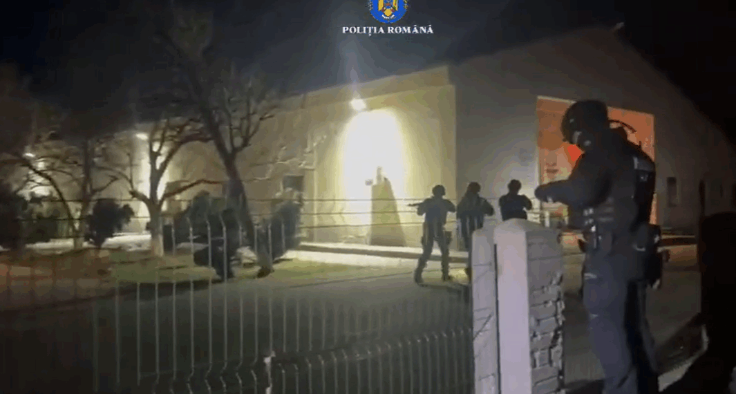 Percheziții de amploare după suspiciuni de eutanasiere ilegală a câinilor fără stăpân. Anchetă în patru județe