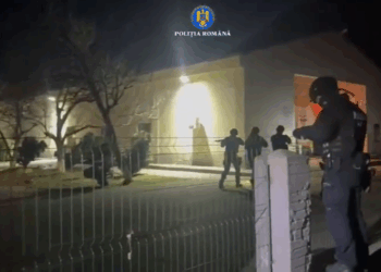 Percheziții de amploare după suspiciuni de eutanasiere ilegală a câinilor fără stăpân. Anchetă în patru județe