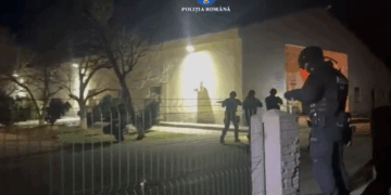 Percheziții de amploare după suspiciuni de eutanasiere ilegală a câinilor fără stăpân. Anchetă în patru județe