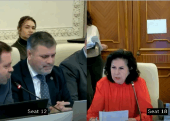 „Ați venit la piață?”,  reprezentanta Înaltei Curți, criticată dur după un schimb de replici halucinant în Parlament