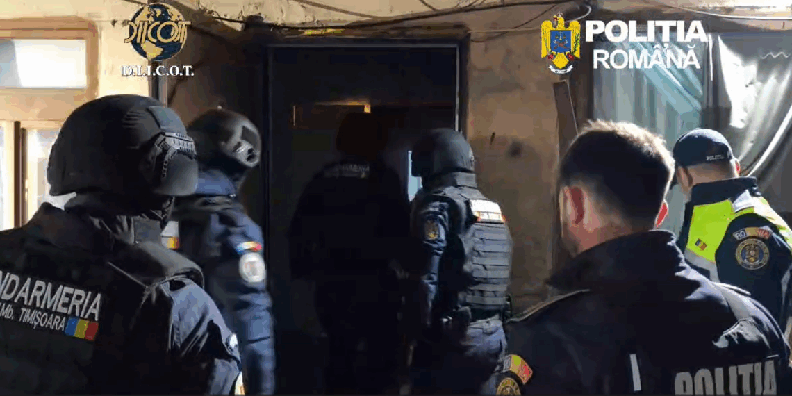 VIDEO – Percheziții în Timișoara. Rețea de droguri destructurată, minori folosiți la distribuție