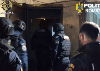 VIDEO – Percheziții în Timișoara. Rețea de droguri destructurată, minori folosiți la distribuție