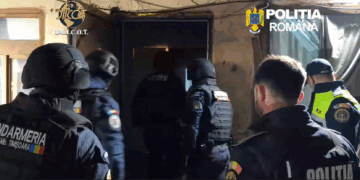 VIDEO – Percheziții în Timișoara. Rețea de droguri destructurată, minori folosiți la distribuție