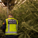 Polițist belgian în timpul verificării unei plantații indoor de cannabis (imagine ilustrativă generată cu inteligență artificială)