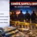 Arestări preventive într-un dosar de camătă și șantaj: rețea de împrumuturi cu dobânzi excesive destructurată