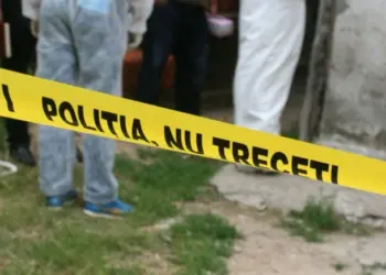 Bărbat lovit cu bâta în cap și înjunghiat pe un câmp: condamnare pentru tentativă de omor, dar pedeapsa suspendată