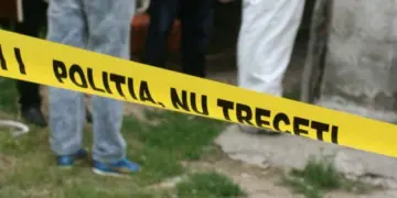 Bărbat lovit cu bâta în cap și înjunghiat pe un câmp: condamnare pentru tentativă de omor, dar pedeapsa suspendată