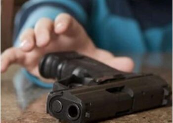 Arme, muniții și un denunț neașteptat: cum a ajuns un bărbat din Maramureș condamnat după sesizarea făcută de soția sa