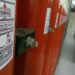 Schema stingătoarelor dispărute: cum a delapidat un angajat bunurile din firma pentru care lucra