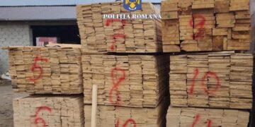 Captură de lemn de peste 30.000 de lei. Polițiștii au verificat transporturi și depozite în Satu Mare