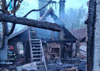 Incendiu violent în Paleu, pornit de la o defecțiune electrică. Trei gospodării afectate în toiul nopții