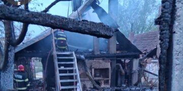Incendiu violent în Paleu, pornit de la o defecțiune electrică. Trei gospodării afectate în toiul nopții