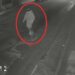 Tânărul de 19 ani acuzat că a atacat cu secera un bătrân de 84 de ani rămâne în arest preventiv