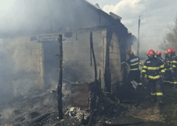 Sursă foto : ISU Satu Mare