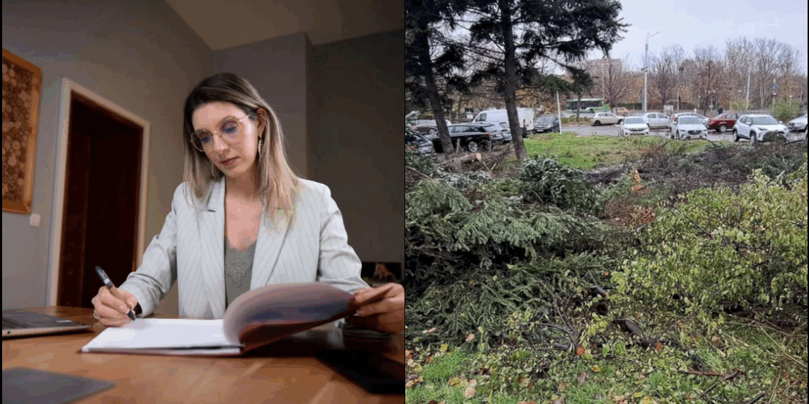 Tăierile de arbori din spațiile verzi urbane ar putea fi incriminate penal, proiect în curs de avizare