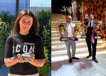 Crescătorii Bondar Andrei și Vlad Suț, alături de crescătoarea Costași Daniela – pasiune, performanță și rezultate de excepție.