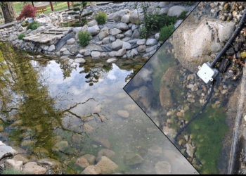 Acte de vandalism în Parcul Petőfi din Oradea. Amenajarea lacului, afectată de comportamente iresponsabile