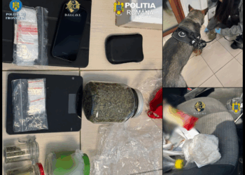 Rețea de trafic de droguri destructurată la Satu Mare. Doi suspecți arestați preventiv