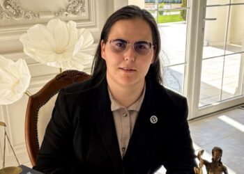 Ordinul de protecție în materia violenței domestice: între protecție formală și siguranță efectivă