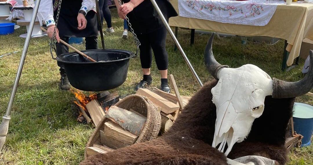 Salonta pregătește un record uriaș și mizează pe turism: 5.100 de litri de gulaș de bizon la aniversarea orașului