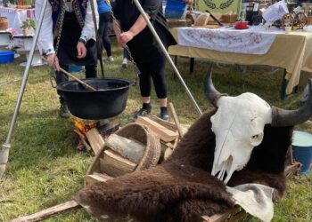 Salonta pregătește un record uriaș și mizează pe turism: 5.100 de litri de gulaș de bizon la aniversarea orașului