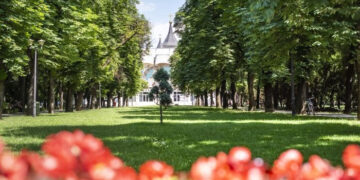 Scene revoltătoare în centrul Oradiei. Bărbat filmat de două femei, condamnat pentru ultraj contra bunelor moravuri