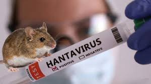 Pacient internat de aproape doi ani la Psihiatrie Ștei confirmat cu hantavirus: autoritățile caută sursa infectării